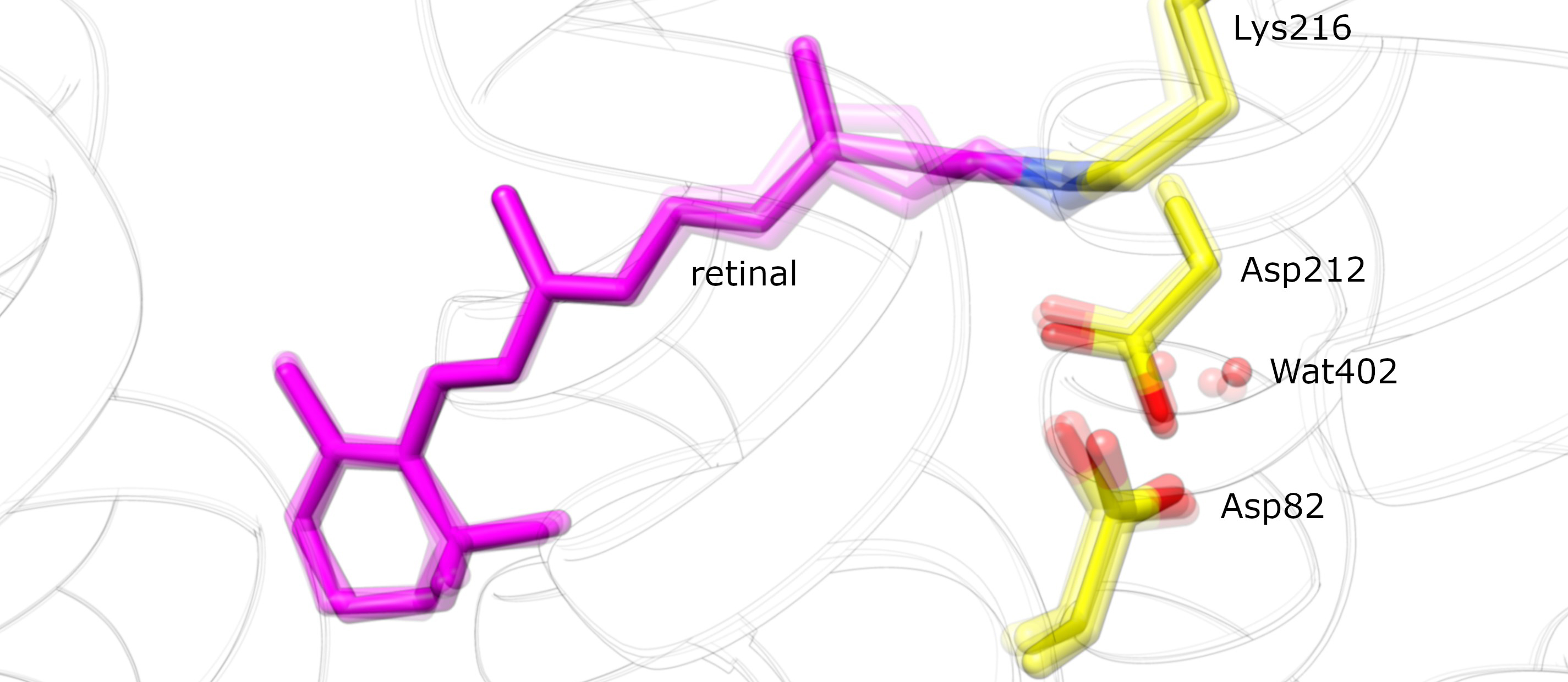 Ultrafast molecular gymnastics