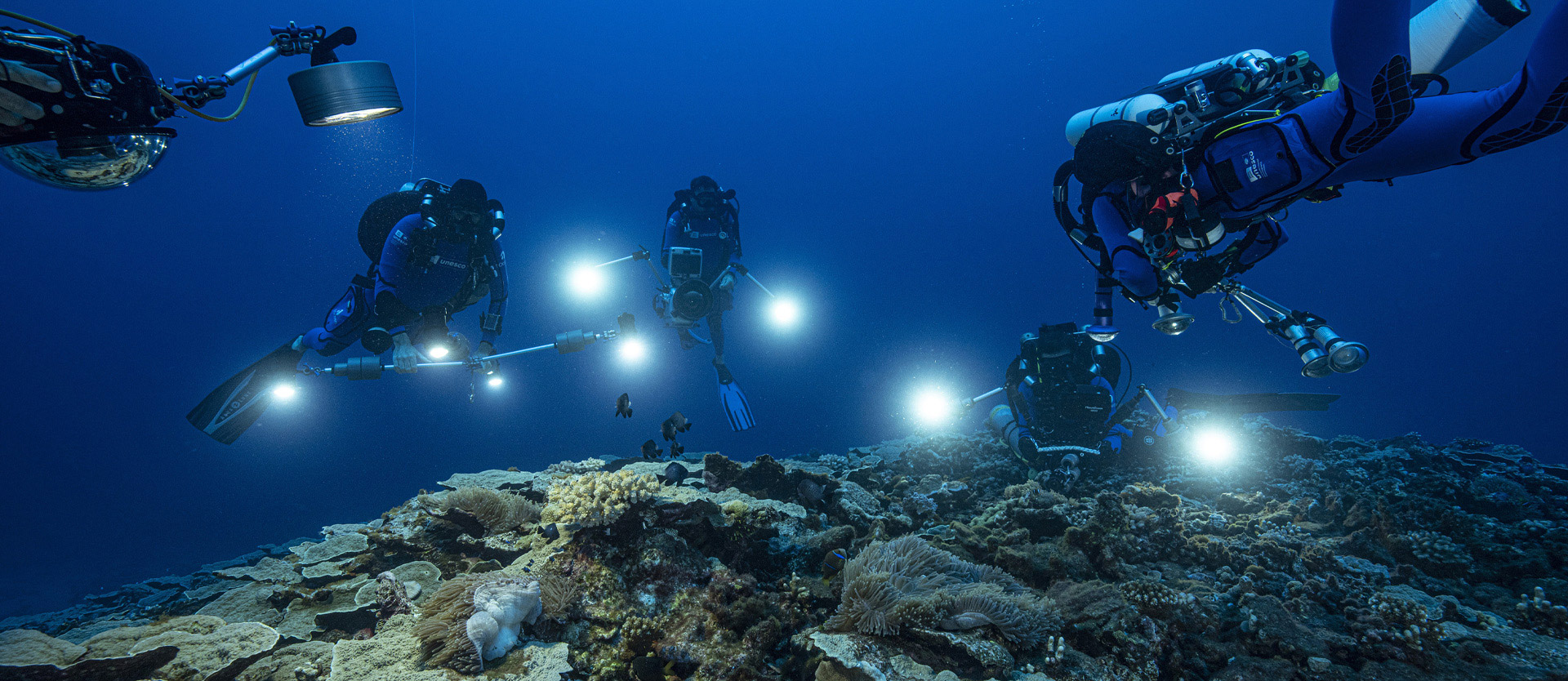 Corals in the twilight zone