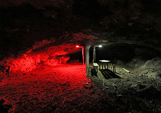 Illumination drives bats out of caves 